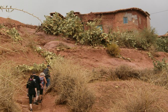 Day in the Atlas Mountains With Camel Ride - Weather-Related Cancellations and Refunds