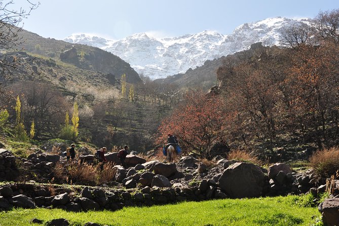 Day Out With a Berber to High Atlas Mountains - General Information and Directions