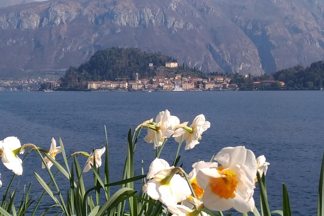 Day Tour From Milan: Lake Como & Bellagio With Cruise in a Small-Group Tour - Common questions