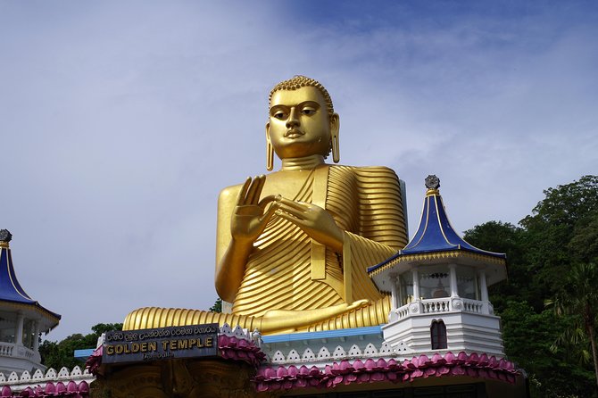 Day Tour to Sigiriya & Dambulla From Kandy by Aaliya Tours - Customer Reviews and Ratings