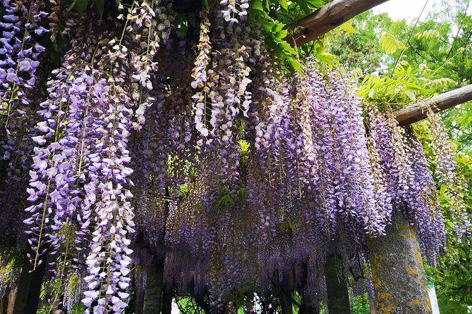 Day Trip Flower Island of Mainau Including Meersburg - Common questions