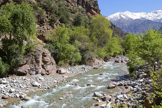 Day Trip From Marrakech to Atlas Mountains and Ourika Waterfalls - Customer Support Information