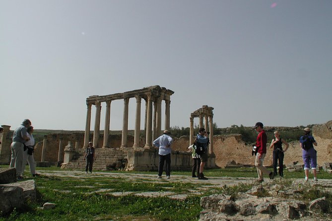 DAY TRIP TO Dougga & Bulla Regia , DEPARTURE FROM Tunis - Contact and Support