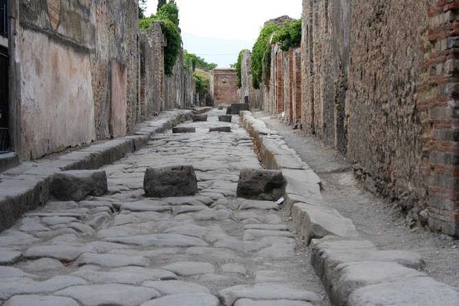 Day Trip to Pompeii Ruins From Rome - Return Journey to Rome