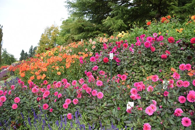 Day Trip to the Island of Mainau With Highlights on Lake Constance From / to Oberstaufen - Tips for a Memorable Day Trip