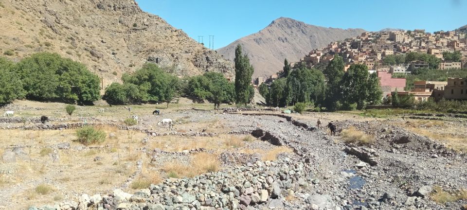 Day Walking and Hiking in the High Atlas Mountains Tizi Mzik - Logistics and Timing