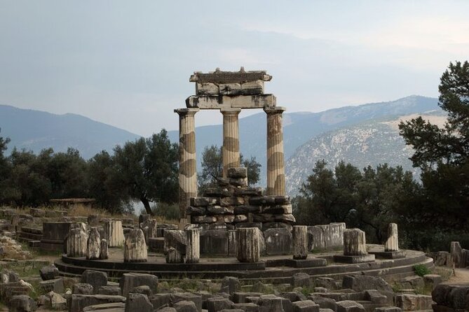 Delphi Private Day Trip "All Inclusive"Up to 15 in a Luxurious Mercedes Minibus - Customer Reviews