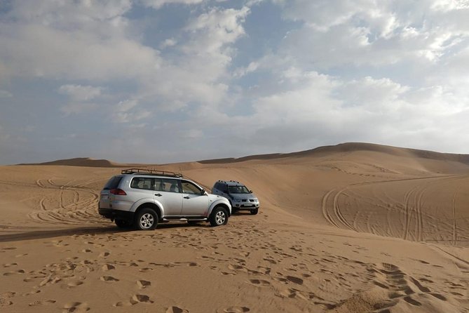 Desert Adventure Trip Half Day - Traveler Reviews