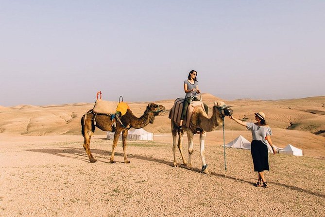Desert Agfay Day Trip From Marrakech And Atlas Mountains & Camel Safari - Traveler Assistance
