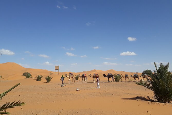 Desert Camping, Camel Ride & Atlas Mountains 3-Day Tour  - Marrakech - Common questions