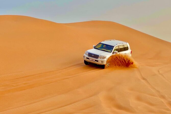 Desert Safari Adventure With BBQ Dinner - Additional Tour Information