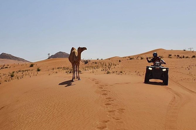 Desert Safari Dubai , Quad Bike, Camel Ride & Al Khayma Camp - Directions