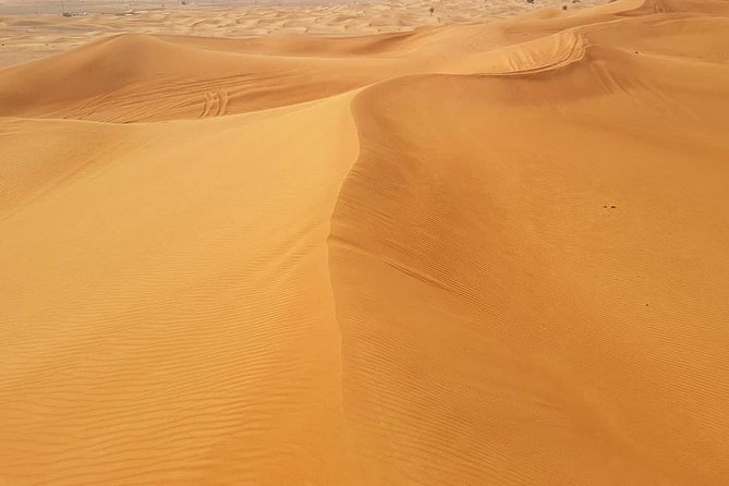 Desert Safari Dubai With Camel Ride, Sandboard, BBQ and Shows - Explore Lahbab Region During Safari