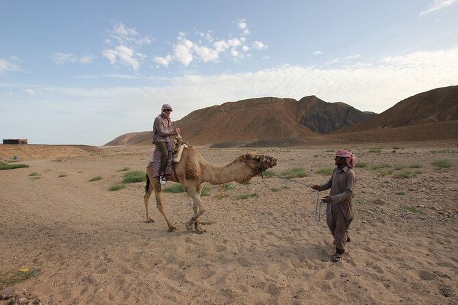 Desert Sunset Camel Ride With Free Tea in The Desert Camp - Child Pricing and Policies