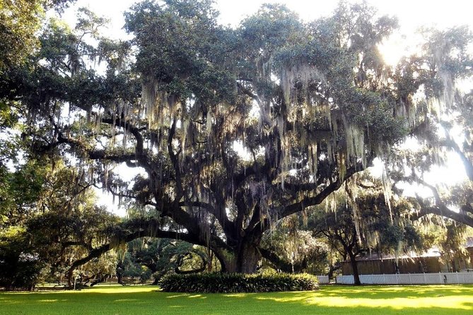 Destrehan Plantation and Swamp Tour From New Orleans - Common questions