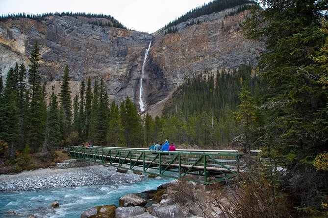 Discover Grizzly Bears From Banff - Directions