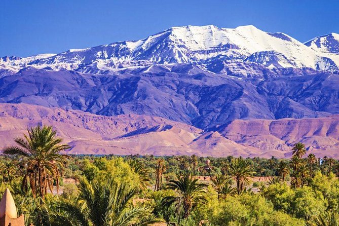 Discover the Atlas Mountains and Its Waterfall, Half Day Tour - Additional Information