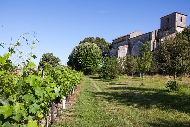 Discovery of the Cognac Vineyard in a 2CV With Picnic in the Middle of the Vines - Booking Information