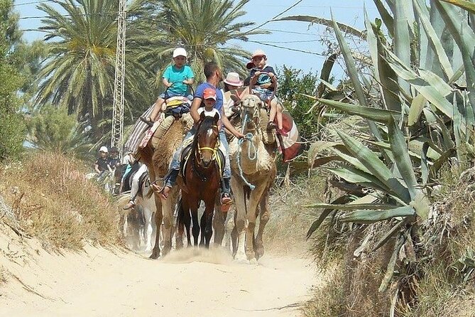 Discovery Ride on Horseback or Camel 2h30 - Common questions