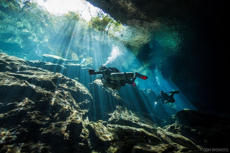 Diving in a Cenote - Last Words