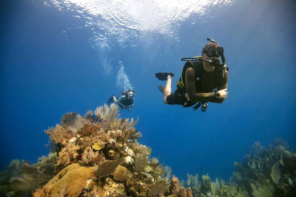 Diving Santa Marta & Tayrona for Certified Divers (2 Tanks) - Important Information