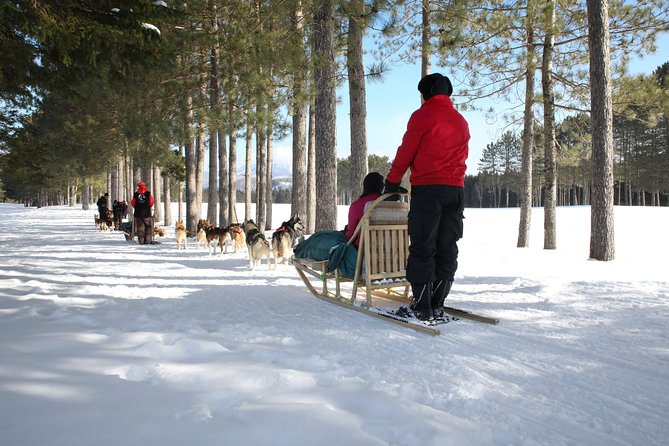 Dogsled Adventure in Mont-Tremblant - Common questions