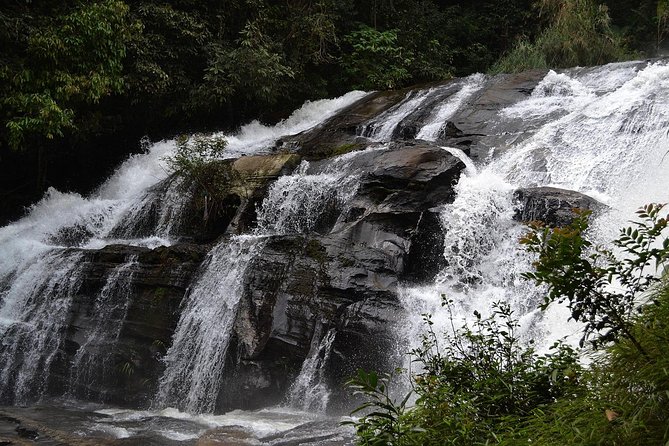 Doi Inthanon at Afternoon and Hiking - Assistance and Support Information