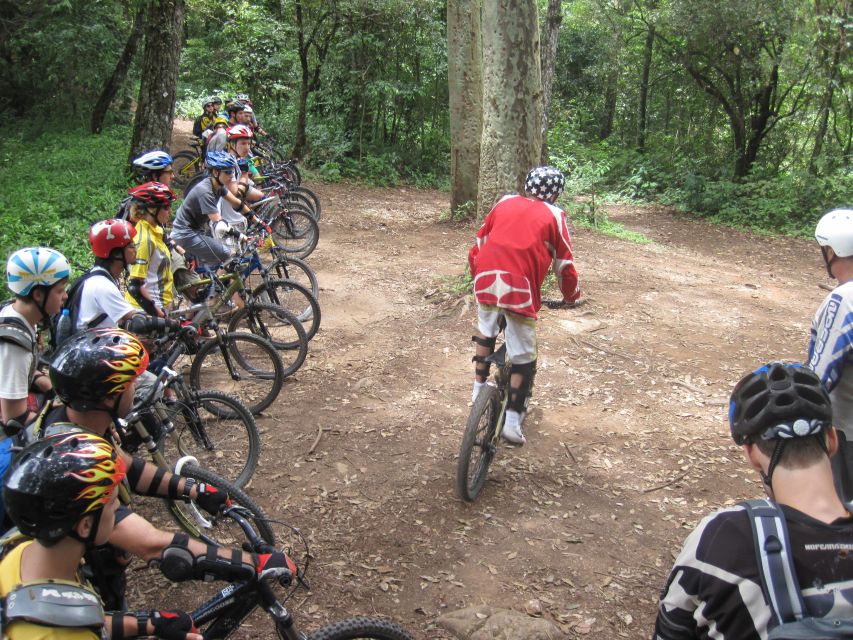 Doi Suthep National Park: Beginner Downhill Bike Ride - Review Summary