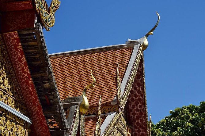 Doi Suthep Temple, Wad Palad, and Sticky Waterfall Tour  - Chiang Mai - Reviews and Ratings