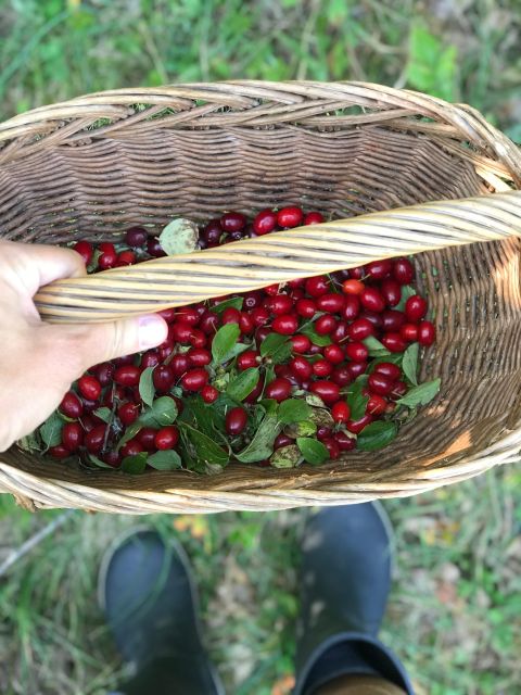 Donji Lapac: Latibula Family Farm Tour, Hiking, Foraging - Pricing and Additional Details