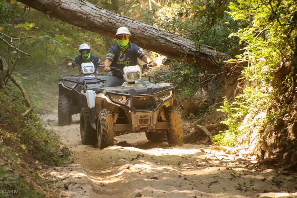 Double or Single Rider ATV Jungle Tour - Jungle Tour Highlights