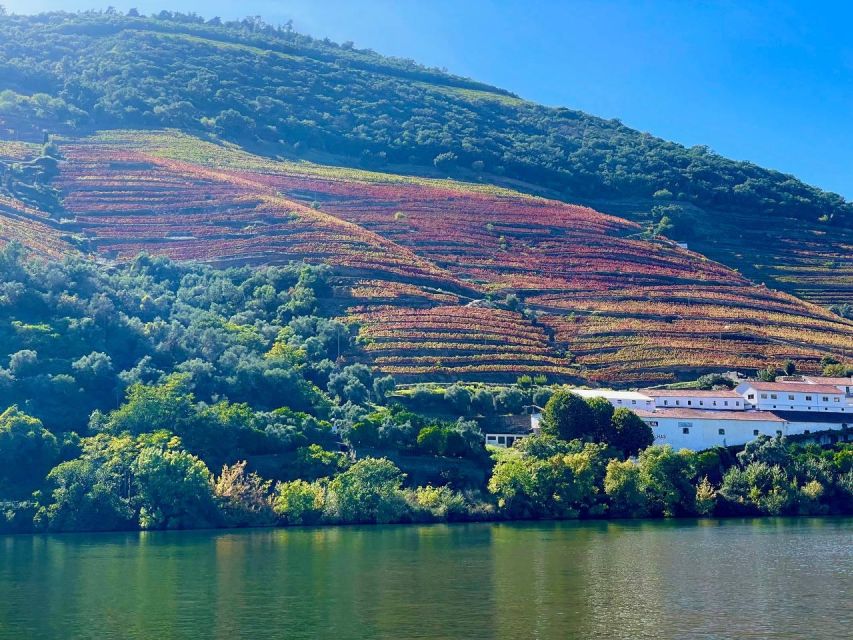 Douro River Private Cruise - Language Options Available