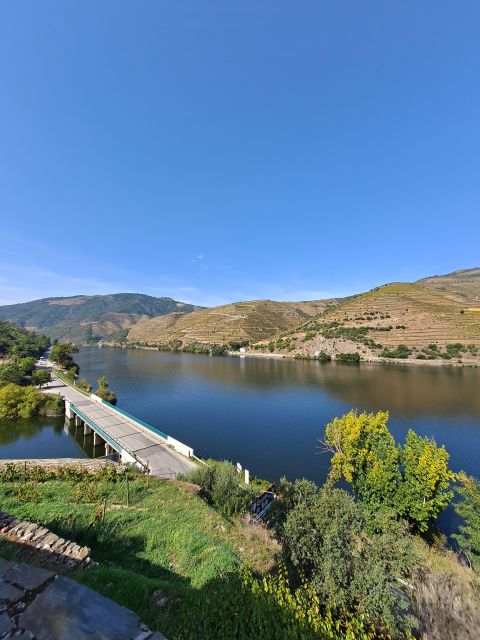Douro Valley: 8-9h FD Tour at the Magic Valley! - Tour Features and Tasting Experience
