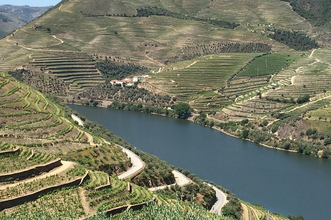 Douro Valley Private Tour From Oporto - About the Tour Operator