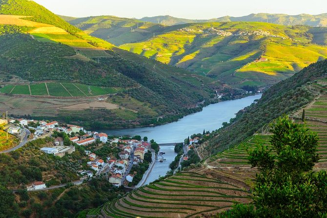 Douro Valley Tour: Wine Tasting, Cruise and Lunch From Porto - Customer Feedback