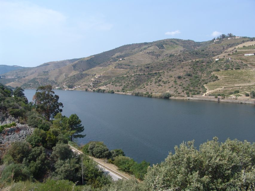 Douro Valley Wine Road Trip, 2 Vineyards Lunch River Cruise - Additional Information