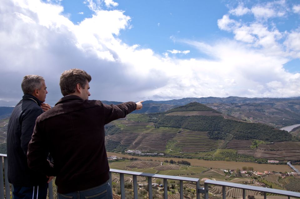 Douro Valley Wine Tasting From Porto - Local Delights