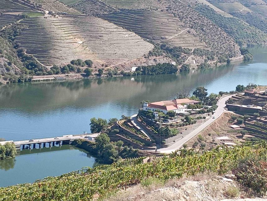 Douro Valley Wine Tour, Lunch River Cruise, 12 Wines Tasting - Inclusions