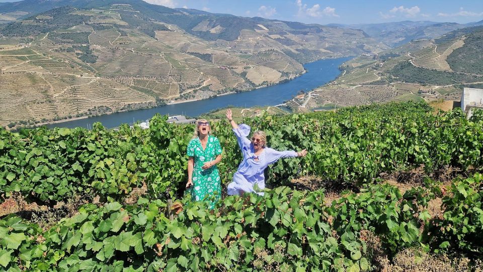 Douro Valley:Expert Wine Guide,Boat, Wine, Olive Oil & Lunch - Customer Experience