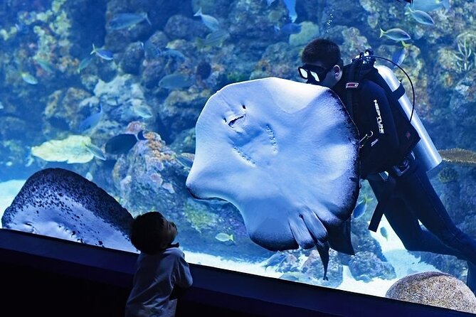 Dubai Aquarium With Glass Bottom Boat Tour - Review Verification Process