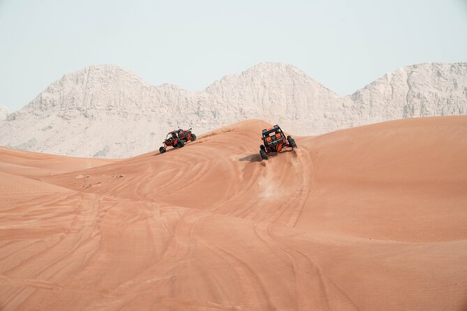 Dubai Desert Dune Buggy Fossil Rock Tour (No Transfers) - Cancellation Policy