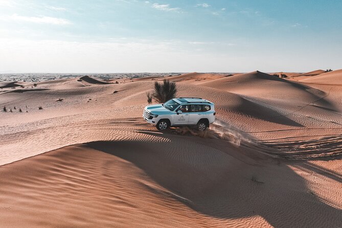 Dubai Desert Safari: Camel Ride, Sandboarding, BBQ & House Drinks - Directions for Dubai Desert Safari