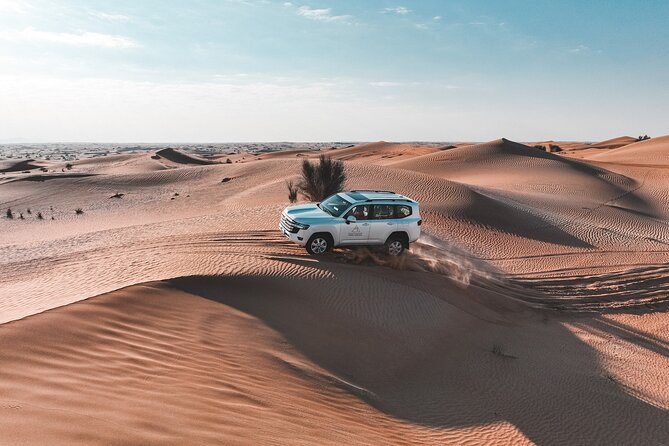 Dubai Desert Safari: Camel Ride, Sandboarding, BBQ & Soft Drinks - Customer Reviews