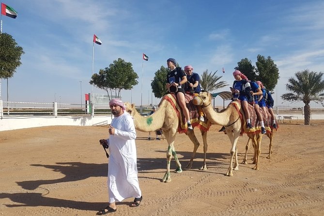 Dubai Desert Safari With Camel Riding, Sand Boarding,BBQ Dinner and 3 Live Shows - Provider Information