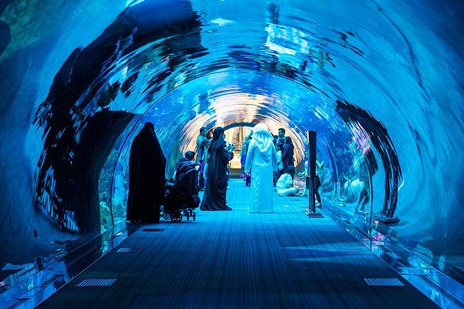 Dubai Mall Aquarium & Underwater Zoo - Visitor Experience