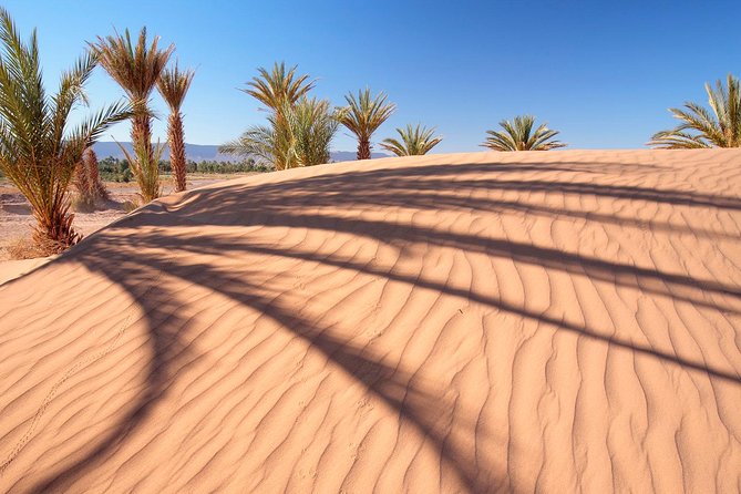 Dubai Red Dunes Desert Safari Adventure - Cultural Welcome and Refreshments