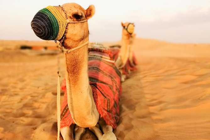 Dubai Super Saver: Desert Camp Experience by 4x4 and Dhow Dinner Cruise - Cancellation Policy Details