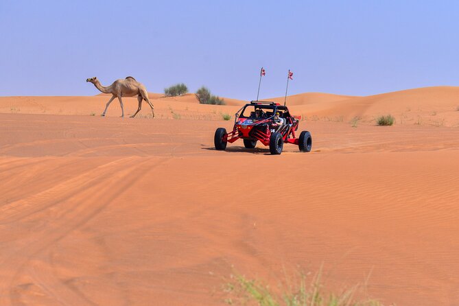 Dune Buggy Ride With Private BBQ Dinner in the Desert - Additional Activities and Amenities