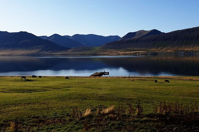 Dynjandi Waterfall & Iceland Farm Visit Tour - Native Icelandic Guides