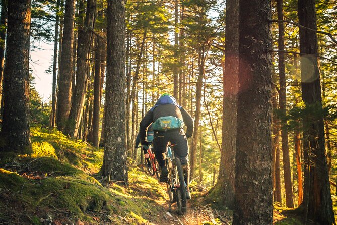E-Bike Adventure Rentals - Making the Most of Your Experience